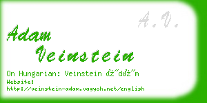 adam veinstein business card